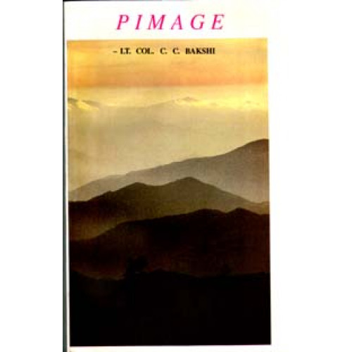 PIMAGE (ENGLISH)