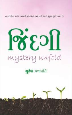JINDAGI-MYSTERY UNFOLD